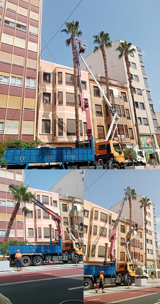 vivecastellon