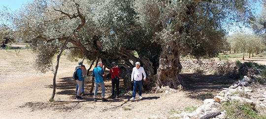 La Diputación promociona entre prensa alemana el turismo patrimonial de la provincia de Castellón