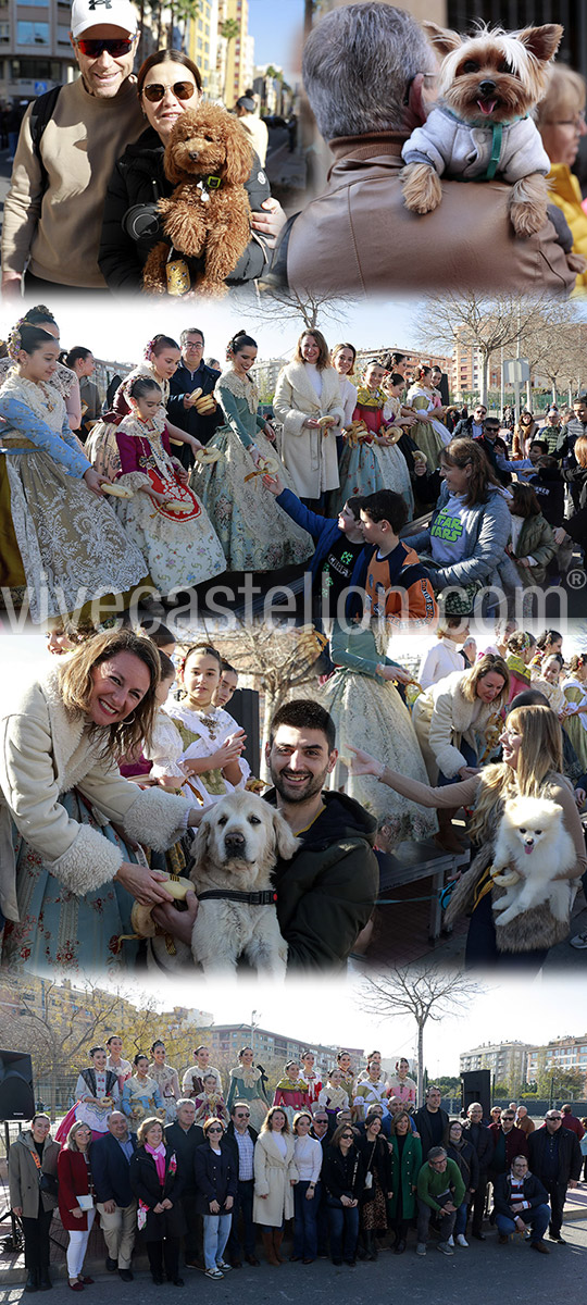 Festividad del patrón de los animales, Sant Antoni Abad 