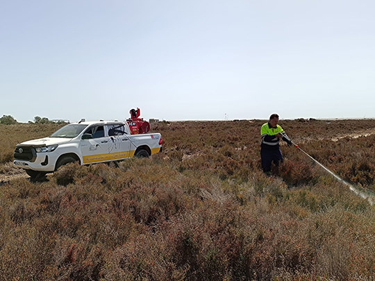 El Ayuntamiento de Torreblanca intensifica los controles y tratamientos para prevenir las plagas de mosquitos