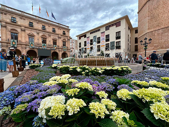 La Junta de Gobierno aprueba un nuevo contrato de jardinería con un incremento de un millón anual en su estrategia de seguir renaturalizando la ciudad La Junta de Gobierno aprueba un nuevo contrato de jardinería con un incremento de un millón anual en su estrategia de seguir renaturalizando la ciudad