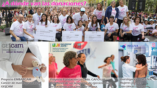 X Marcha contra el cáncer de mama ´Un Paseo por la Vida Castelló 2024´ X Marcha contra el cáncer de mama ´Un Paseo por la Vida Castelló 2024´