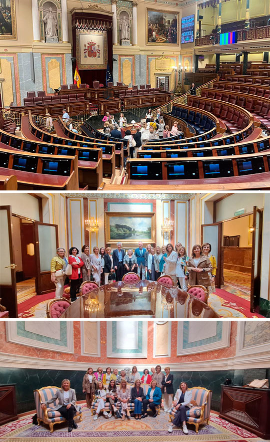 La asociación de Directivas y Empresarias de Castellón – NDCS- visitaron el Palacio de las Cortes en una Jornada de Networking La asociación de Directivas y Empresarias de Castellón – NDCS- visitaron el Palacio de las Cortes en una Jornada de Networking
