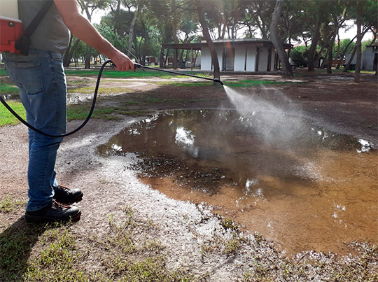 El gobierno municipal  intensifica los tratamientos contra los mosquitos tras las lluvias