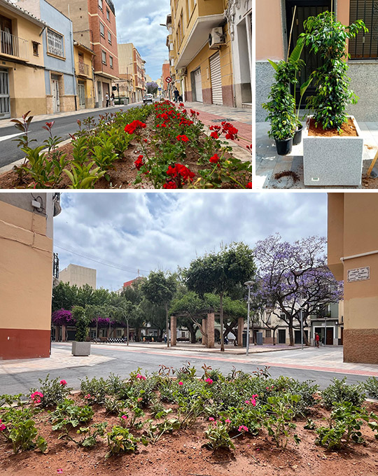 Culminan las obras de la Zona de Bajas Emisiones en el Raval San Félix con la incorporación de 597 especies arbóreas y 95 elementos de mobiliario urbano