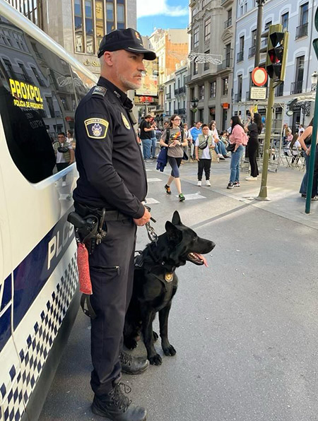 Castellón activa un amplio dispositivo especial de seguridad para la Nochevieja