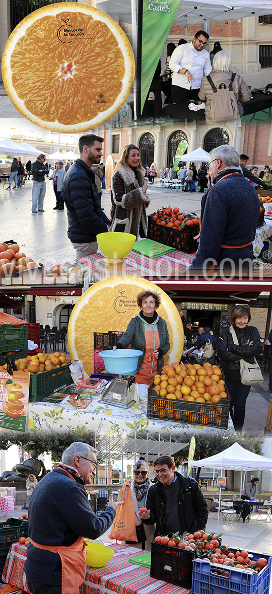 Carrasco: “Impulsamos y visibilizamos el sector citrícola castellonense, eje de la economía local y seña de nuestra identidad”