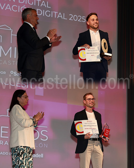 Premios Cámara Castellón, Premio Innovación Digital