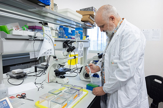 La Universitat Jaume I y Semicrol, S.L. transforman la investigación científica con la reutilización de muestras biológicas La Universitat Jaume I y Semicrol, S.L. transforman la investigación científica con la reutilización de muestras biológicas