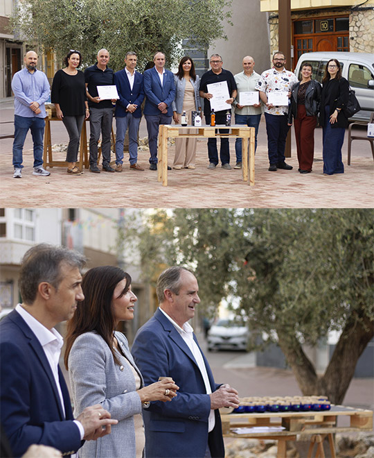 La Diputación de Castellón premia la excelencia del oro líquido de la provincia en la cuarta edición de los Premios AOVE