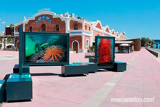 El Grao de Castellón descubre el significado del color en el mundo en una exposición de fotografías de National Geographic