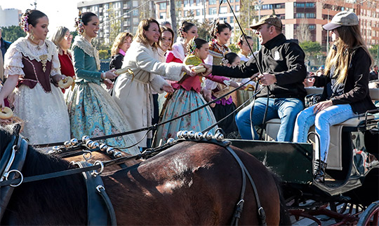 Castellón prepara la celebración de Sant Antoni que tendrá lugar el 18 de enero en el Grao y el 19 de enero en el centro