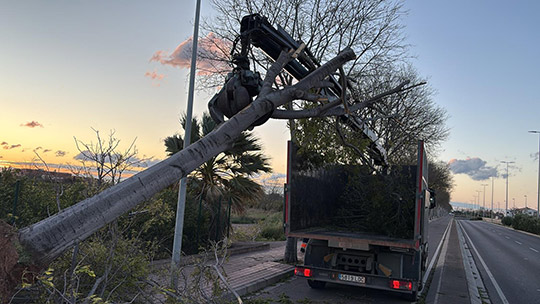 Los Bomberos de Castellón realizan más de 150 servicios debido a los efectos del viento durante la pasada noche y la jornada de este domingo 