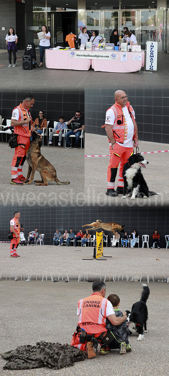 Castellón acoge con gran participación la primera jornada del XI Festival de la Adopción y el VII JOC Fest