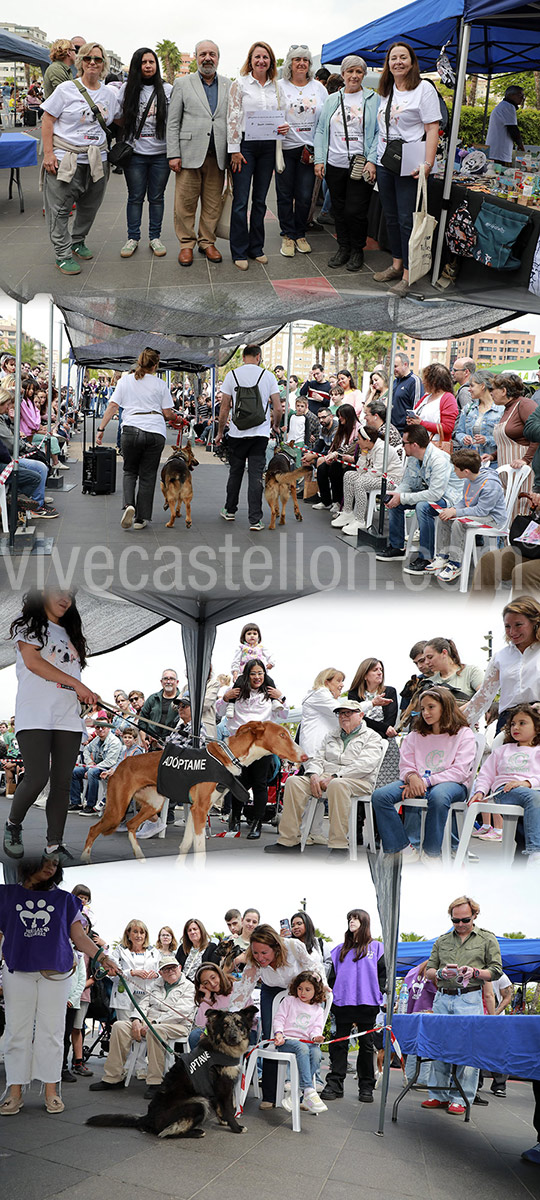 Castellón acoge con gran participación la primera jornada del XI Festival de la Adopción y el VII JOC Fest