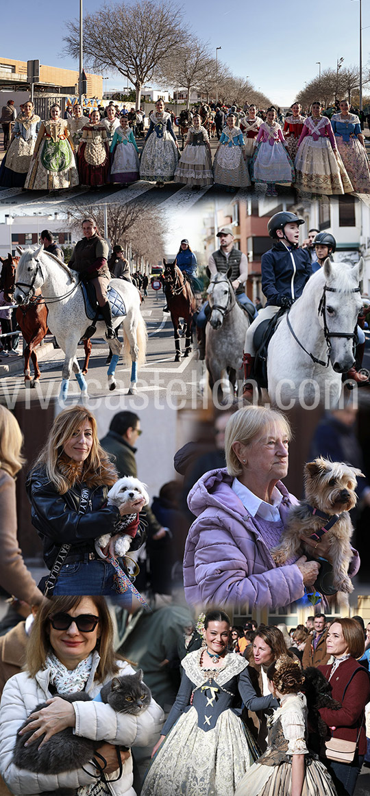 Castellón celebra Sant Antoni con la procesión, la bendición de animales, el reparto de rotllets y la entrega de cintas conmemorativas