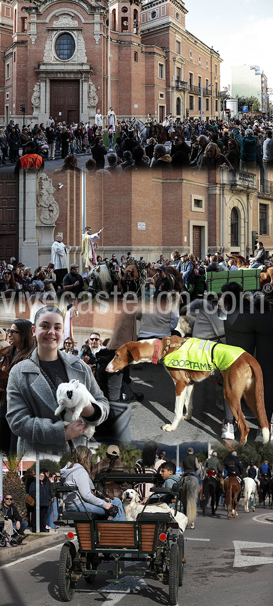 Castellón celebra Sant Antoni con la procesión, la bendición de animales, el reparto de rotllets y la entrega de cintas conmemorativas Castellón celebra Sant Antoni con la procesión, la bendición de animales, el reparto de rotllets y la entrega de cintas conmemorativas