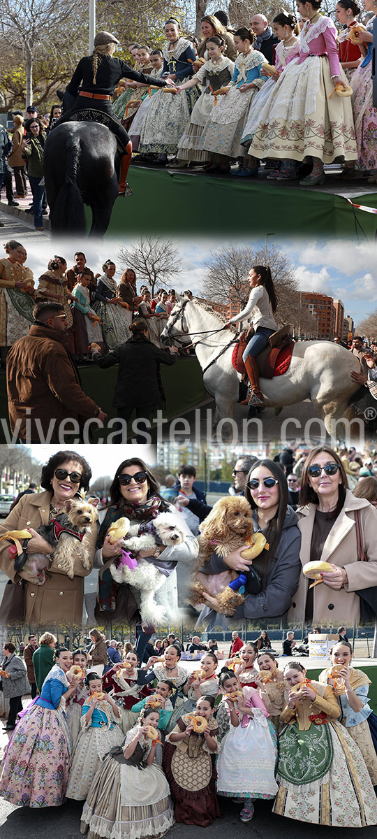 Castellón celebra Sant Antoni con la procesión, la bendición de animales, el reparto de rotllets y la entrega de cintas conmemorativas Castellón celebra Sant Antoni con la procesión, la bendición de animales, el reparto de rotllets y la entrega de cintas conmemorativas
