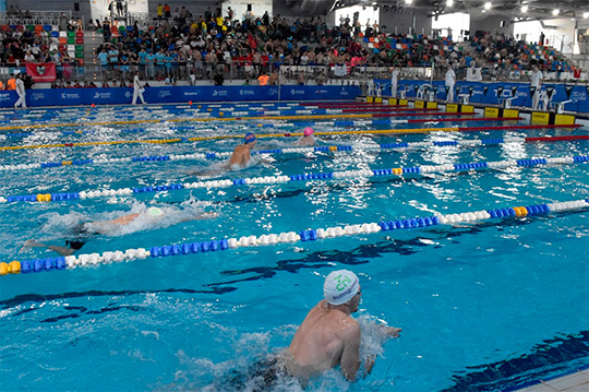 Castellón recibirá el 2 de octubre un Diploma de Honor de la Real Federación Española de Natación por su impulso a las actividades acuáticas Castellón recibirá el 2 de octubre un Diploma de Honor de la Real Federación Española de Natación por su impulso a las actividades acuáticas