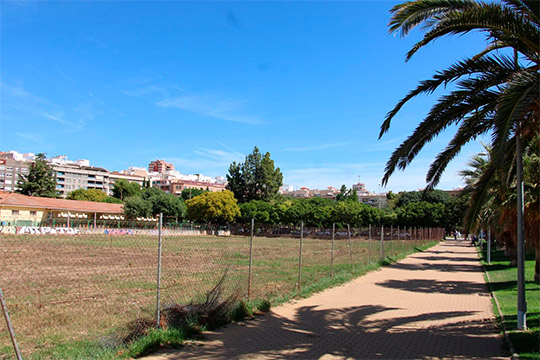 Castellón avanza en la limpieza de más de 115 parcelas entre municipales, privadas y de ejecución subsidiaria 