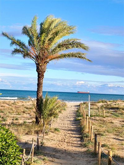 Castellón recupera la Bandera Azul para el Serradal y en todas las playas de la ciudad ondeará este distintivo de excelencia este verano