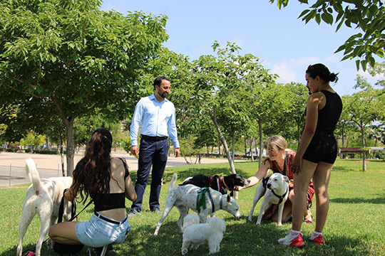 Castellón estrena una nueva zona de esparcimiento canino más integrada y natural junto al Palau de la Festa