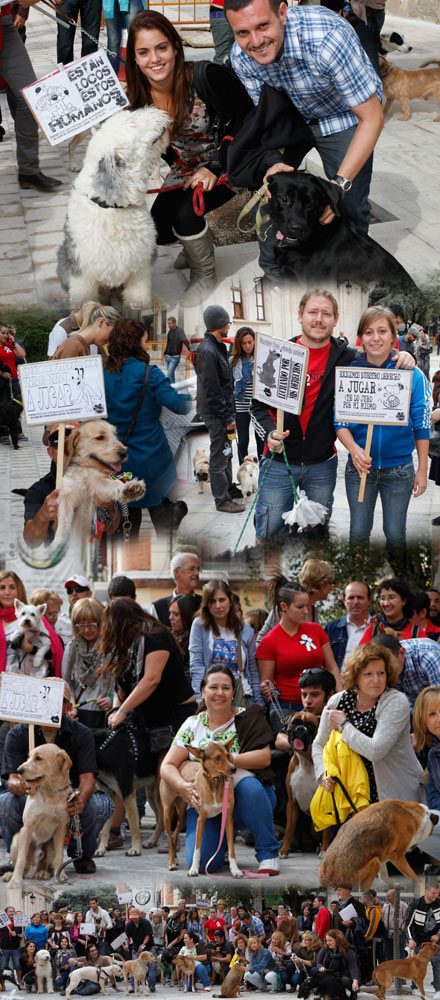espacios para mascotas en Castellón espacios para mascotas en Castellón