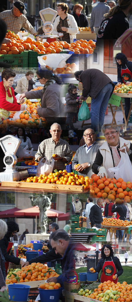 Castellón, Mercado de la naranja. Castellón, Mercado de la naranja.