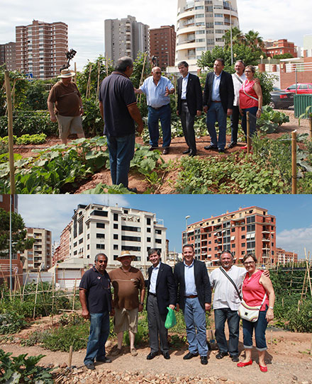 Castellón contará con un huerto urbano para los vecinos en cada uno de los distritos de la ciudad Castellón contará con un huerto urbano para los vecinos en cada uno de los distritos de la ciudad