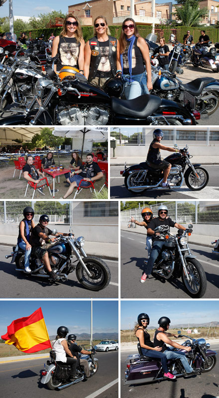 harley davidson big twin 2011