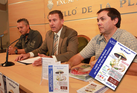 CASTELLÓN, 8ª Jornadas Micológicas