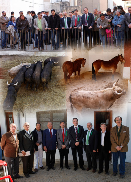 sorteo toros Magdalena 2012