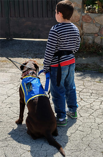 El C.C Salera pone en valor la labor de los perros de asistencia de DogPoint con los niños con autismo