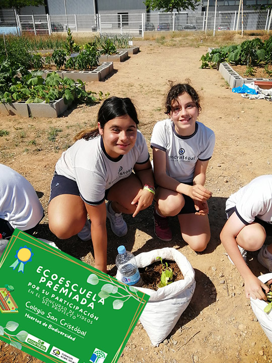 Colegio San Cristóbal premiado por su proyecto ''Huerto de Biodiversidad Solidario''