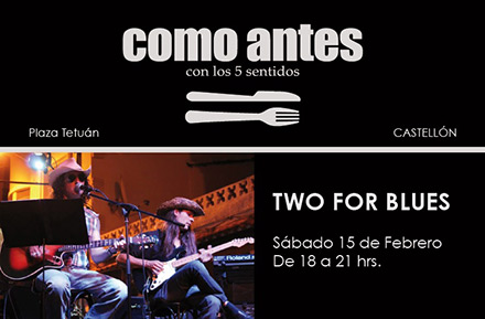 Actuación del dúo de blues Two For Blues 