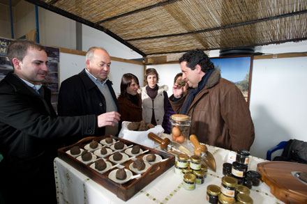 Mostra de la Trufa Negra 