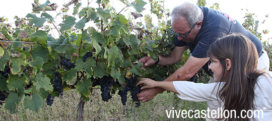 Entrevista a Vicente Flors en su bodega de Les Useres