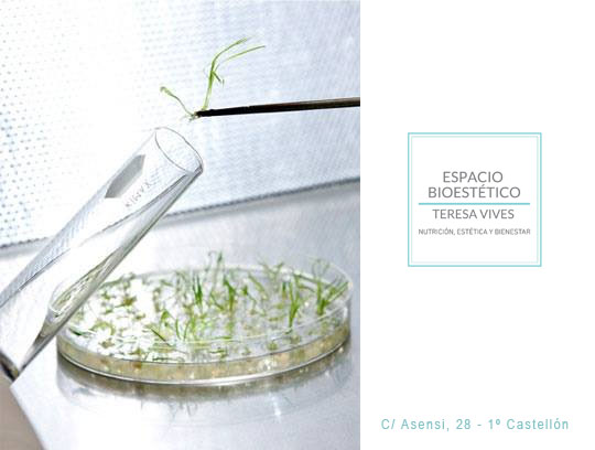 Castellón, Espacio Bioestético, Teresa Vives Castellón, Espacio Bioestético, Teresa Vives