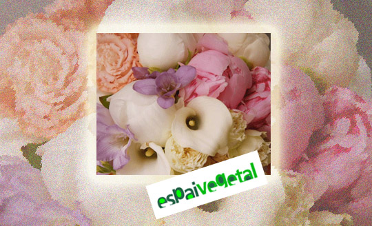 Castellón, Espai Vegetal, floristería. Castellón, Espai Vegetal, floristería.