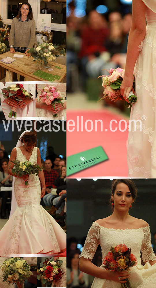 Castellón, Espai vegetal floristería Castellón, Espai vegetal floristería