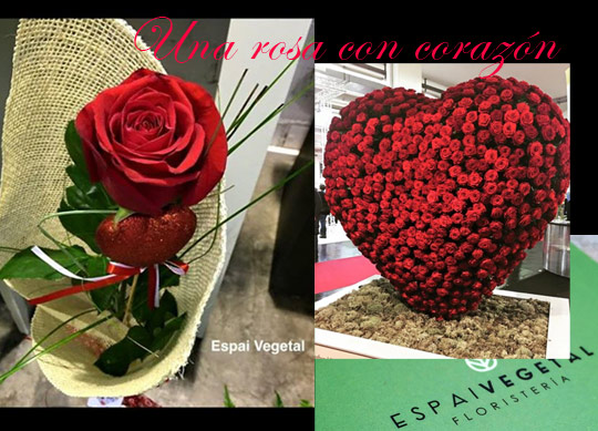 Castellón, Espai vegetal & Rosa Chabrera