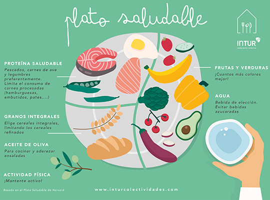 Charla sobre nutrición enfocada a padres y madres, en Almazora Charla sobre nutrición enfocada a padres y madres, en Almazora