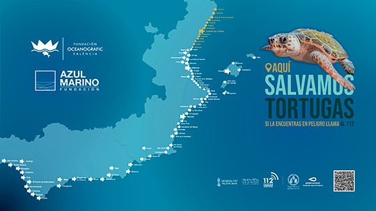Los municipios de Castellón se suman a la campaña ´Aquí salvamos tortugas´
