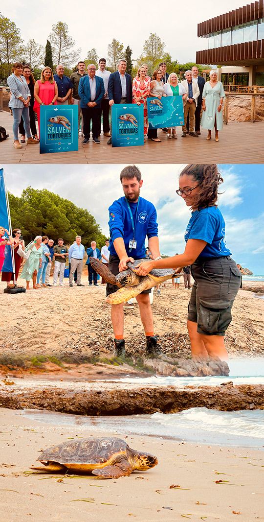 Los municipios de Castellón se suman a la campaña “Aquí salvamos tortugas”