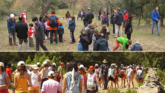 Vive la Naturaleza en Seidia de la Fundación Caja Castellón Vive la Naturaleza en Seidia de la Fundación Caja Castellón