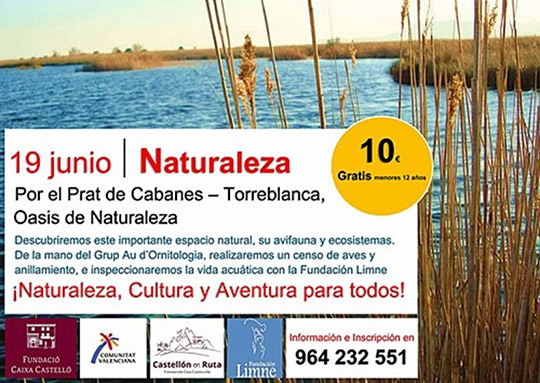 Por el Prat de Cabanes-Torreblanca: Oasis de Naturaleza Por el Prat de Cabanes-Torreblanca: Oasis de Naturaleza