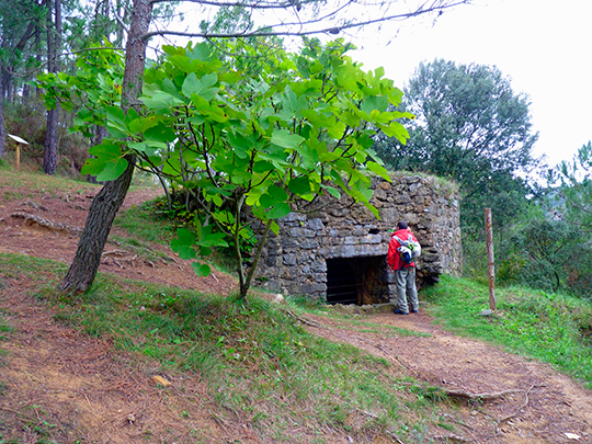 Ruta por la Nevera de Espadán – El Jinquer