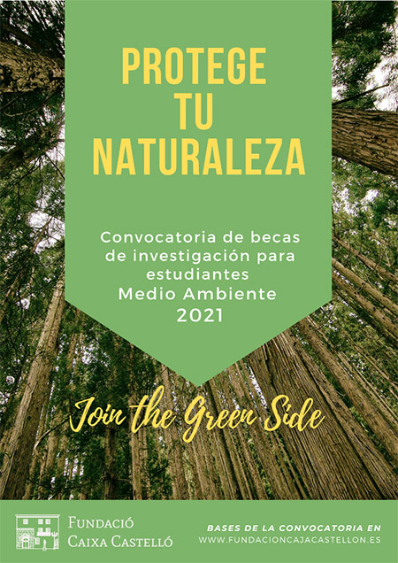 Convocatoria de becas de investigación sobre Medio Ambiente 2021 Fundació Caixa Castelló Convocatoria de becas de investigación sobre Medio Ambiente 2021 Fundació Caixa Castelló