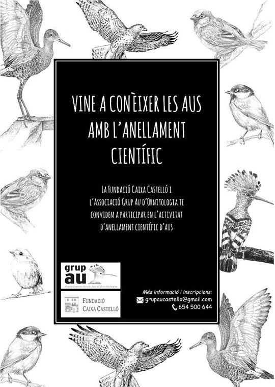 Ven a conocer las aves con el anillamiento científico