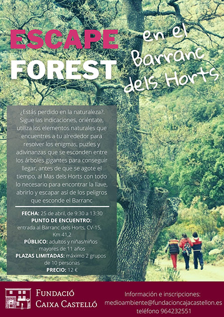 Escape Forest en el Barranc dels Horts de la Fundación Caja Castellón